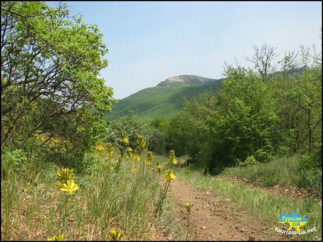 Старый Крым фотографии.jpg