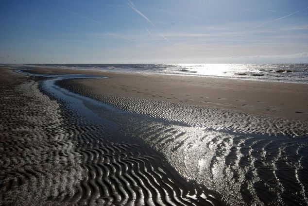 Bloemendaal Beach фотографии.jpg