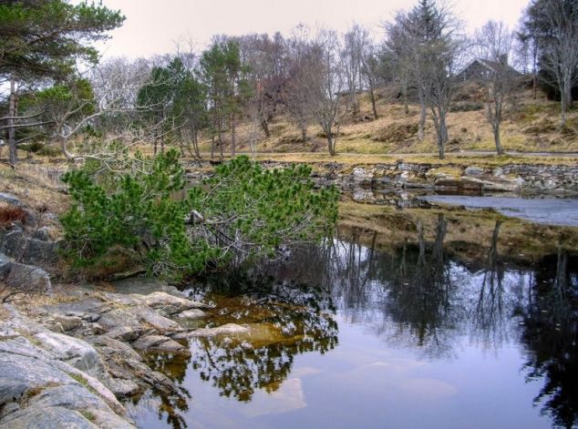 Норвегия Кристиансунн фото