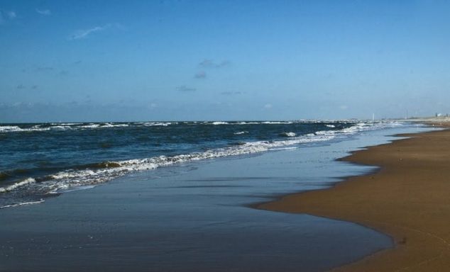 Bloemendaal Beach фото.jpg